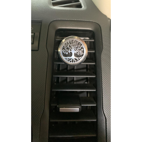 Stainless Steel Car Diffuser