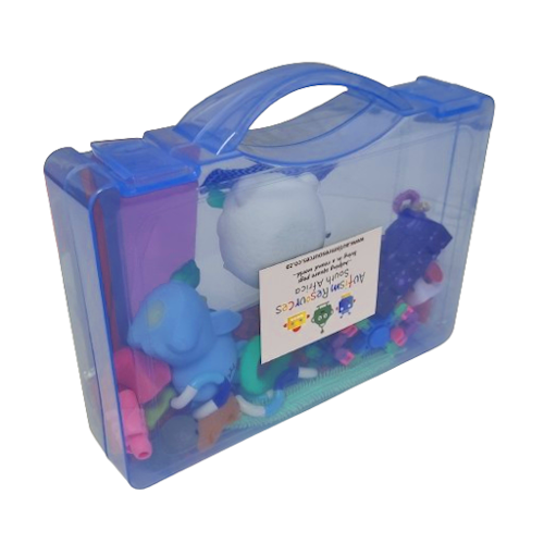 Classroom Sensory box (20 or 30 pieces)