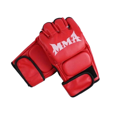 Sparring Gloves (1 pair)