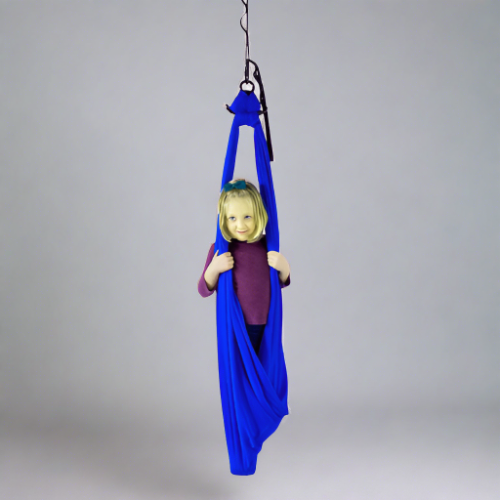 Sensory Swing