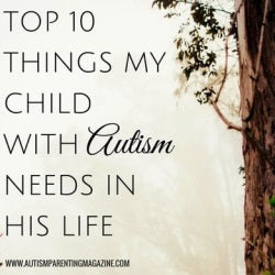 Top 10 Things My Child with Autism Needs in his Life