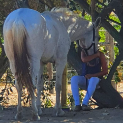 Autism and the bond with animals