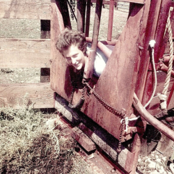 Temple Grandin and the Squeeze Machine
