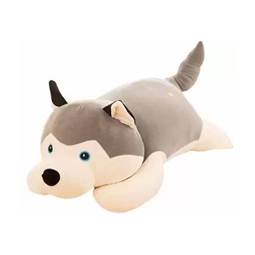 Cucu the Husky (2 kg)