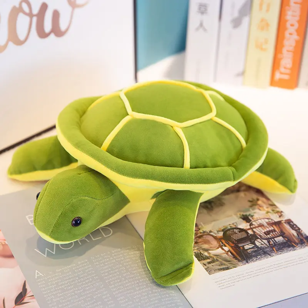 Weighted Turtle (2kg)