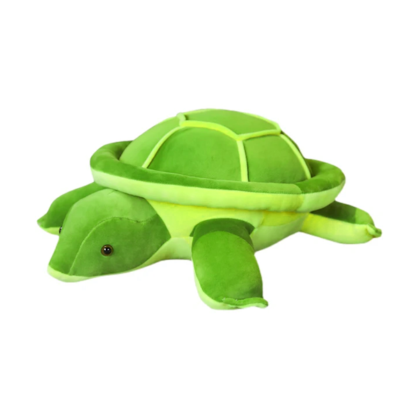 Weighted Turtle (2kg)