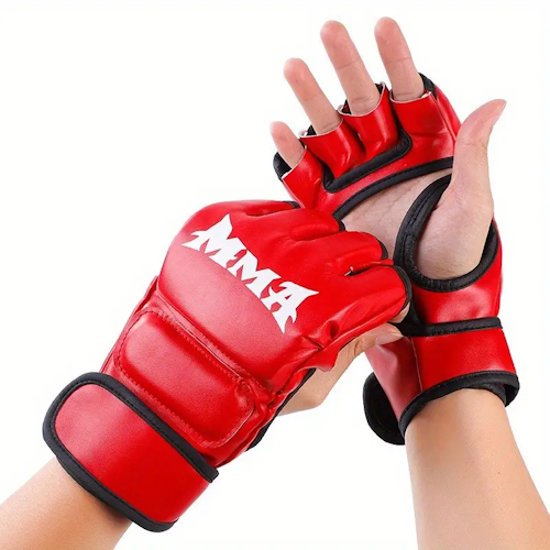 Sparring Gloves (1 pair)