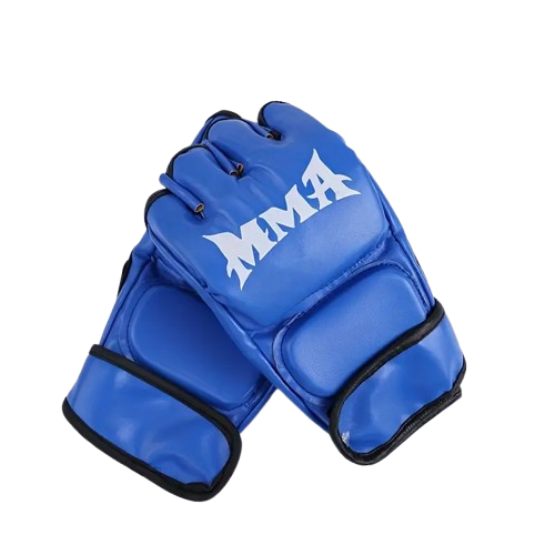 Sparring Gloves (1 pair)