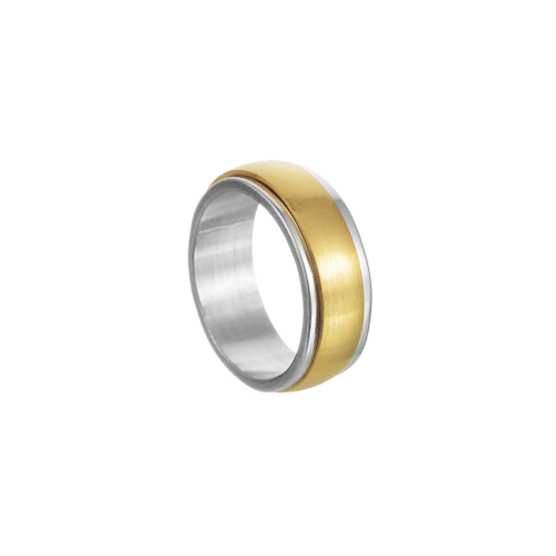 Stainless Steel Unisex Spinner Ring (Gold/Silver)