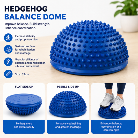 Hedgehog Balance Dome (Large)