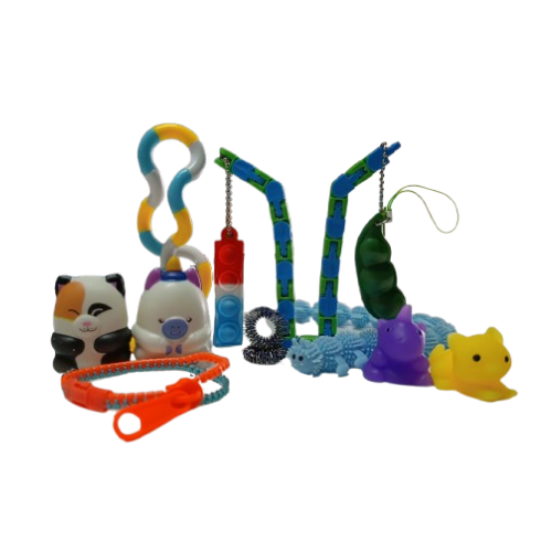 The Essential Sensory Toy Bundle (12 Piece)