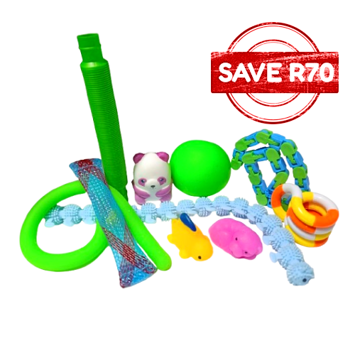 The Basic Sensory Toy Bundle (10 Piece)