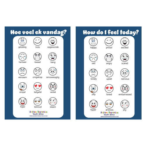 Bilingual Feelings Poster