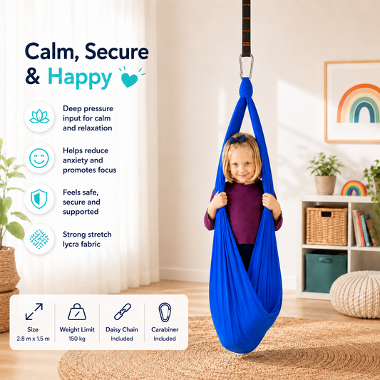 Sensory Swing