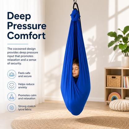 Sensory Swing