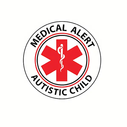 Car Safety Sticker