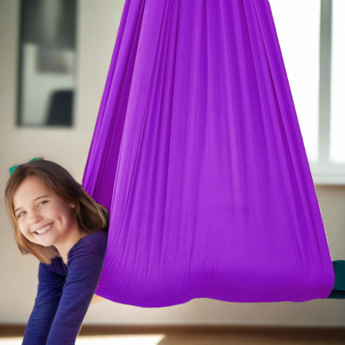 Sensory Swing